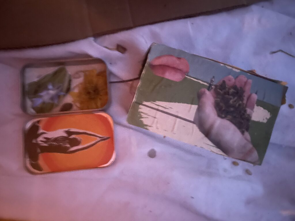 grounding boxes containing items from nature and body imagery